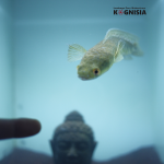 Mahalnya biaya dengan fasilitas yang terbengkalai